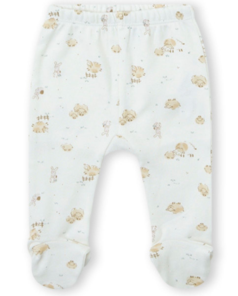 CONJUNTO CRUDO