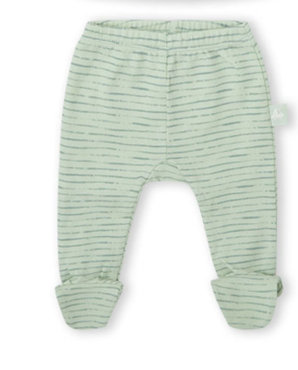 CONJUNTO VERDE