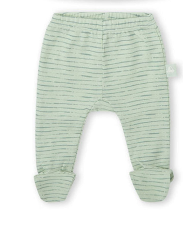 CONJUNTO VERDE