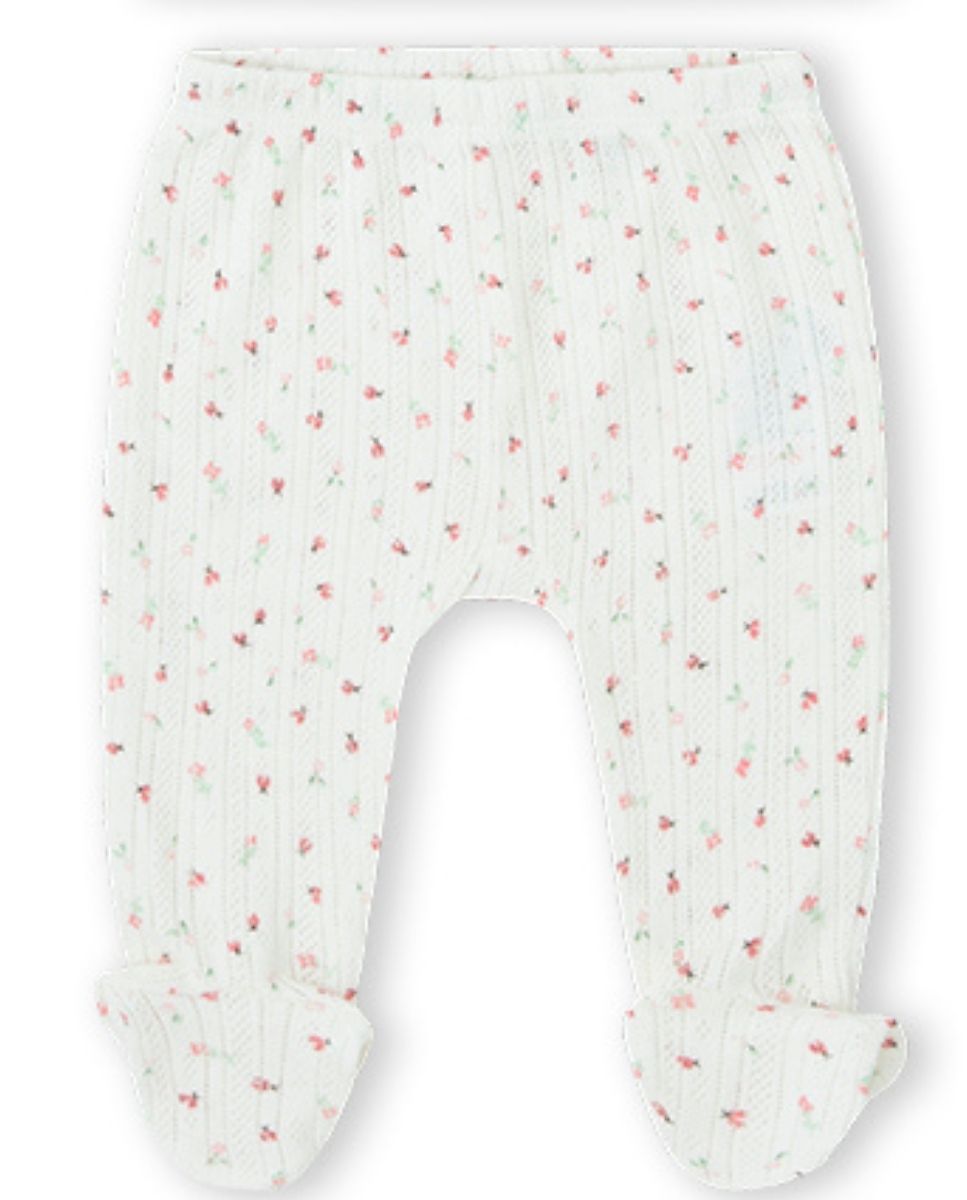 CONJUNTO CRUDO