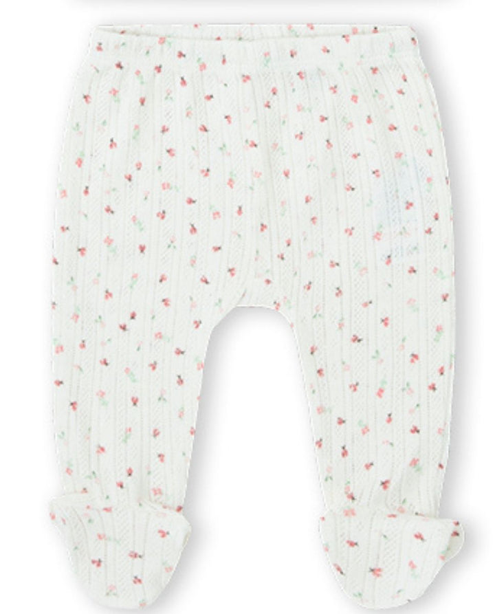 CONJUNTO CRUDO