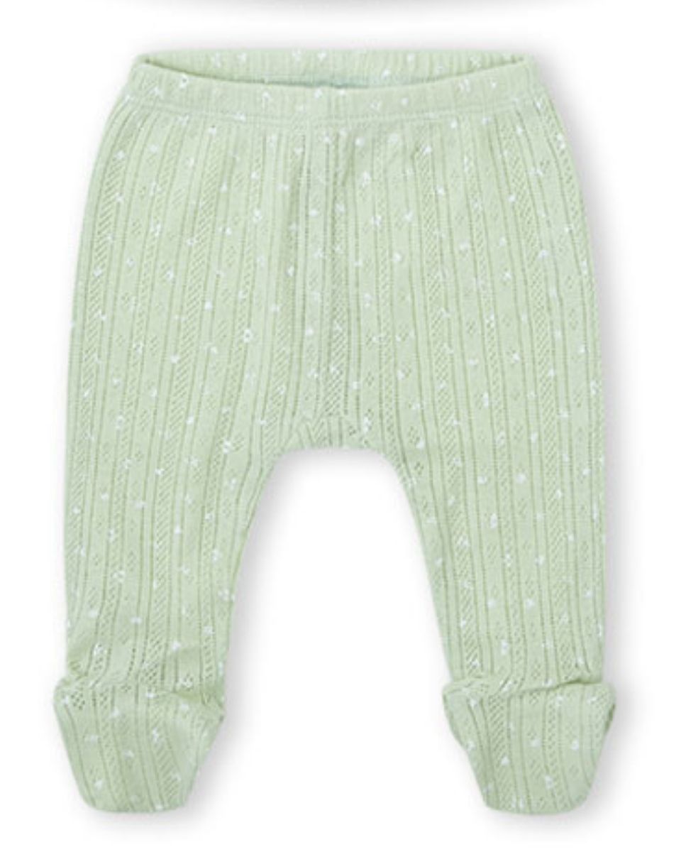 CONJUNTO VERDE