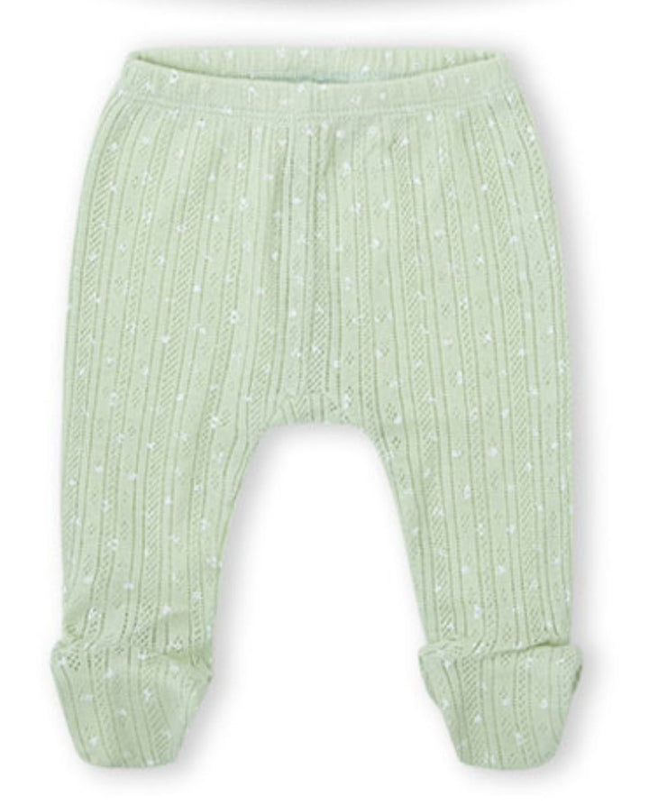 CONJUNTO VERDE
