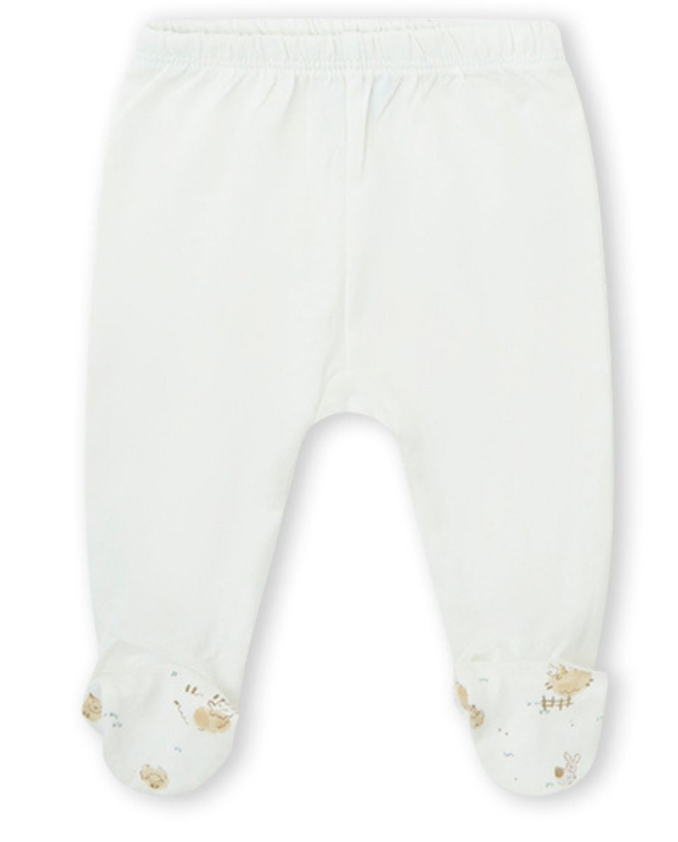 CONJUNTO CRUDO