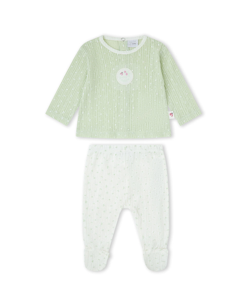 CONJUNTO VERDE