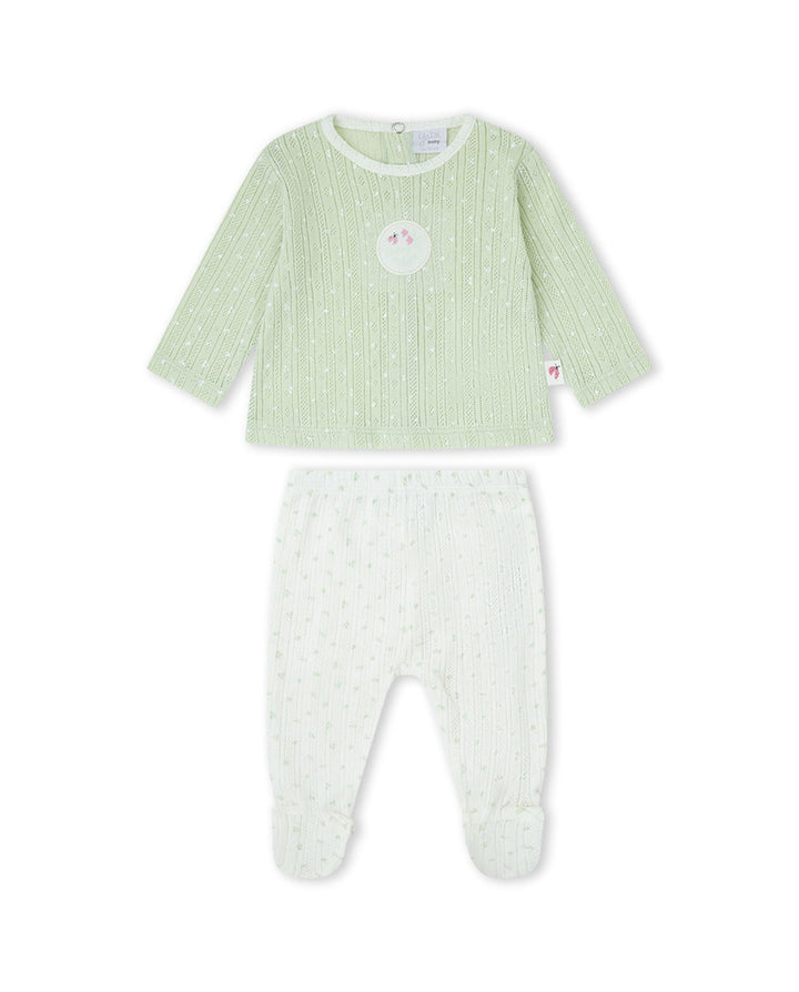 CONJUNTO VERDE