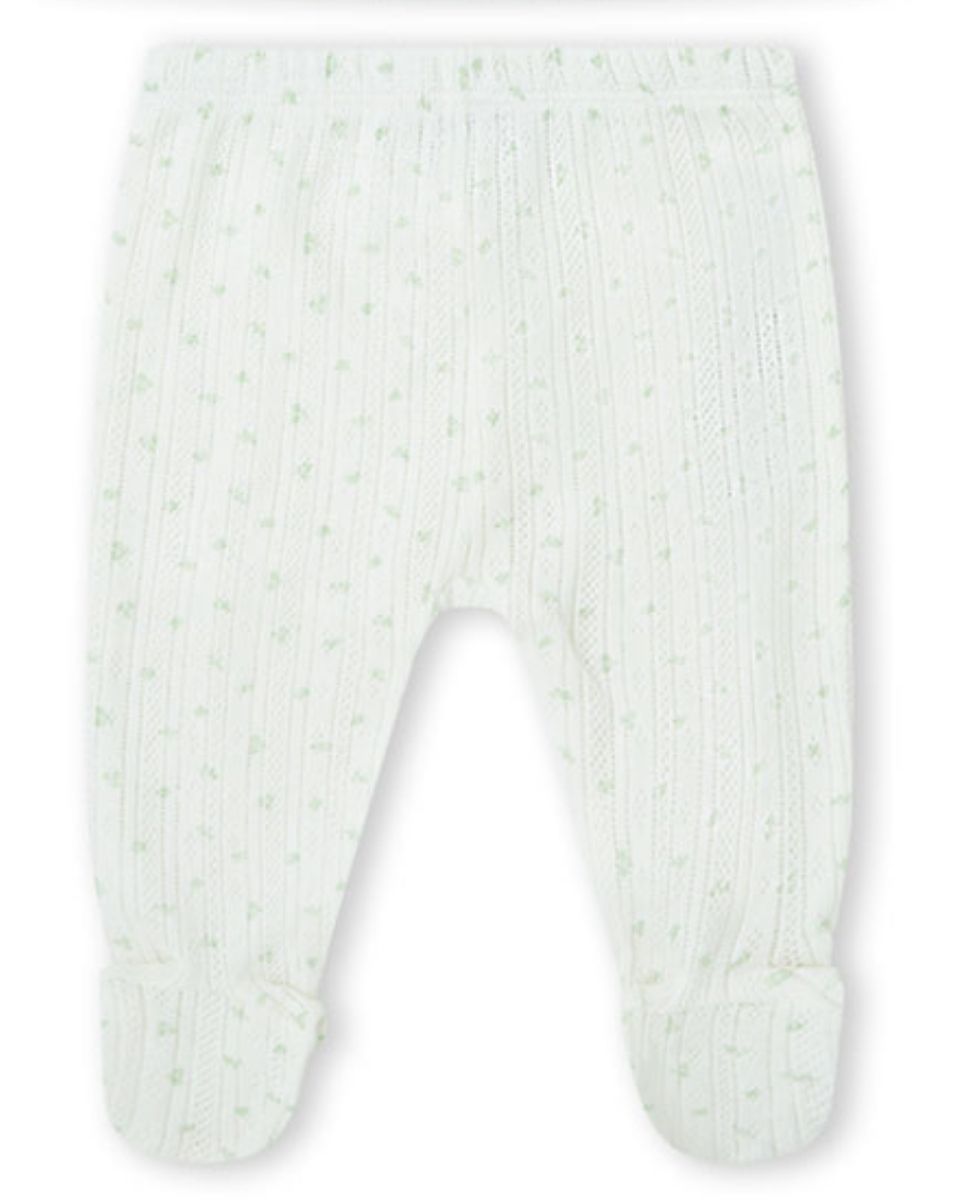 CONJUNTO VERDE