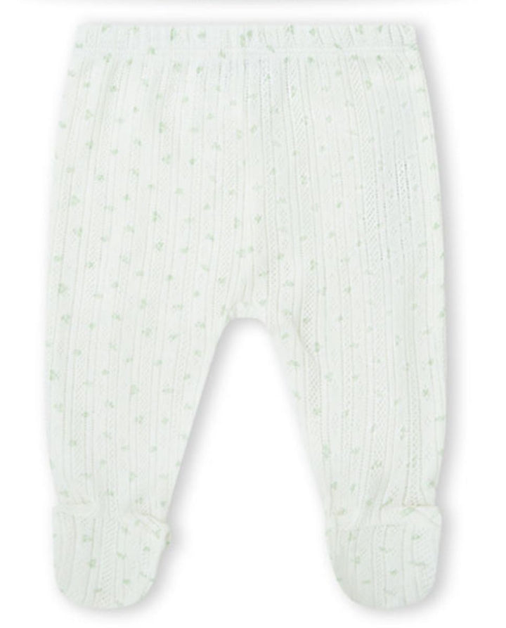 CONJUNTO VERDE