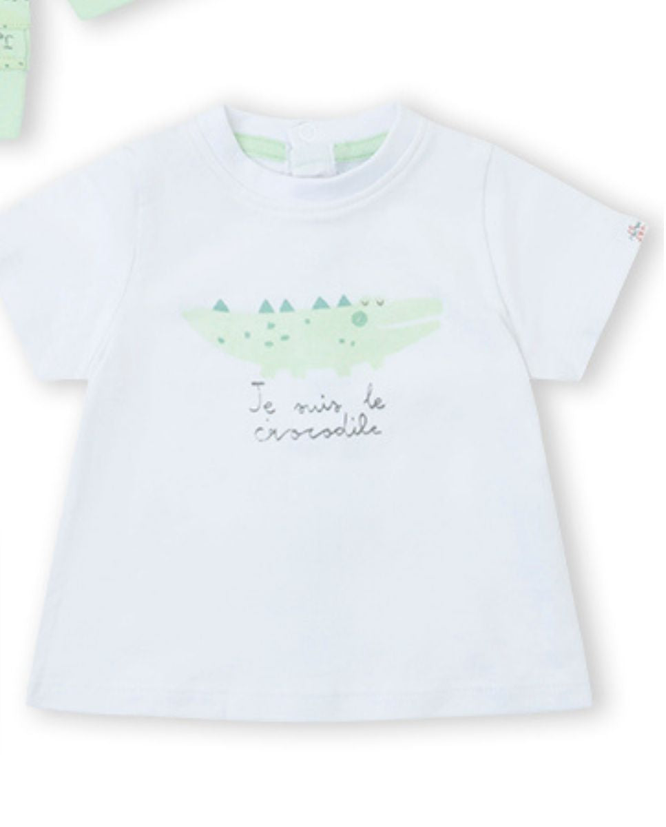 CONJUNTO VERDE