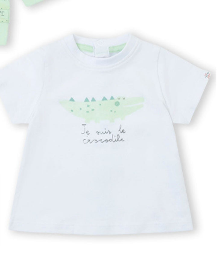 CONJUNTO VERDE