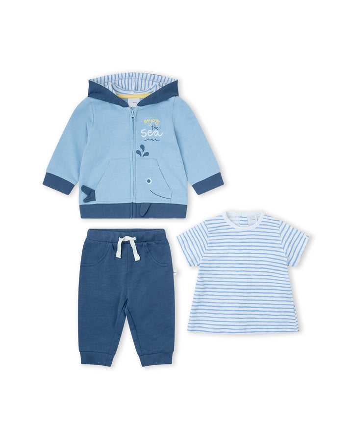 CONJUNTO MARINO