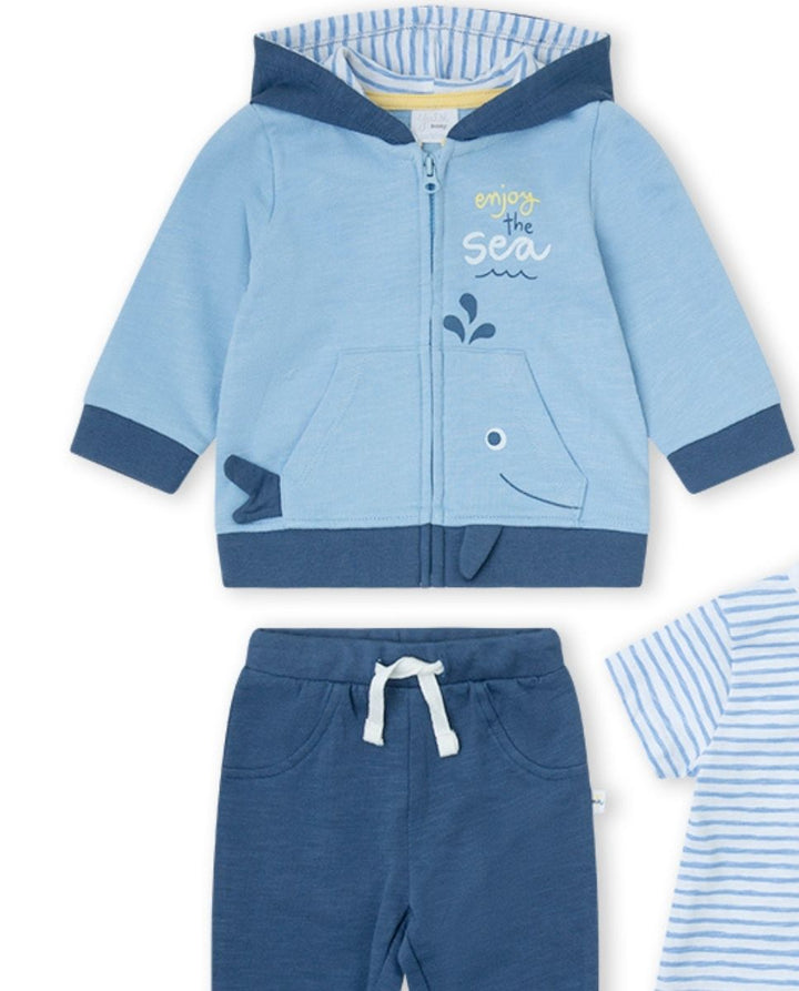 CONJUNTO MARINO
