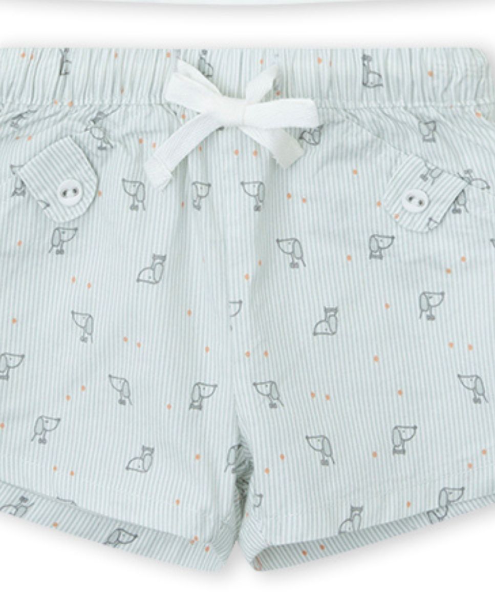 CONJUNTO CRUDO