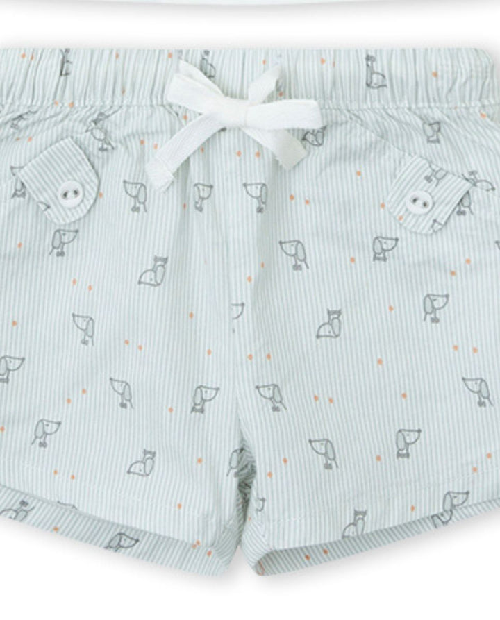 CONJUNTO CRUDO