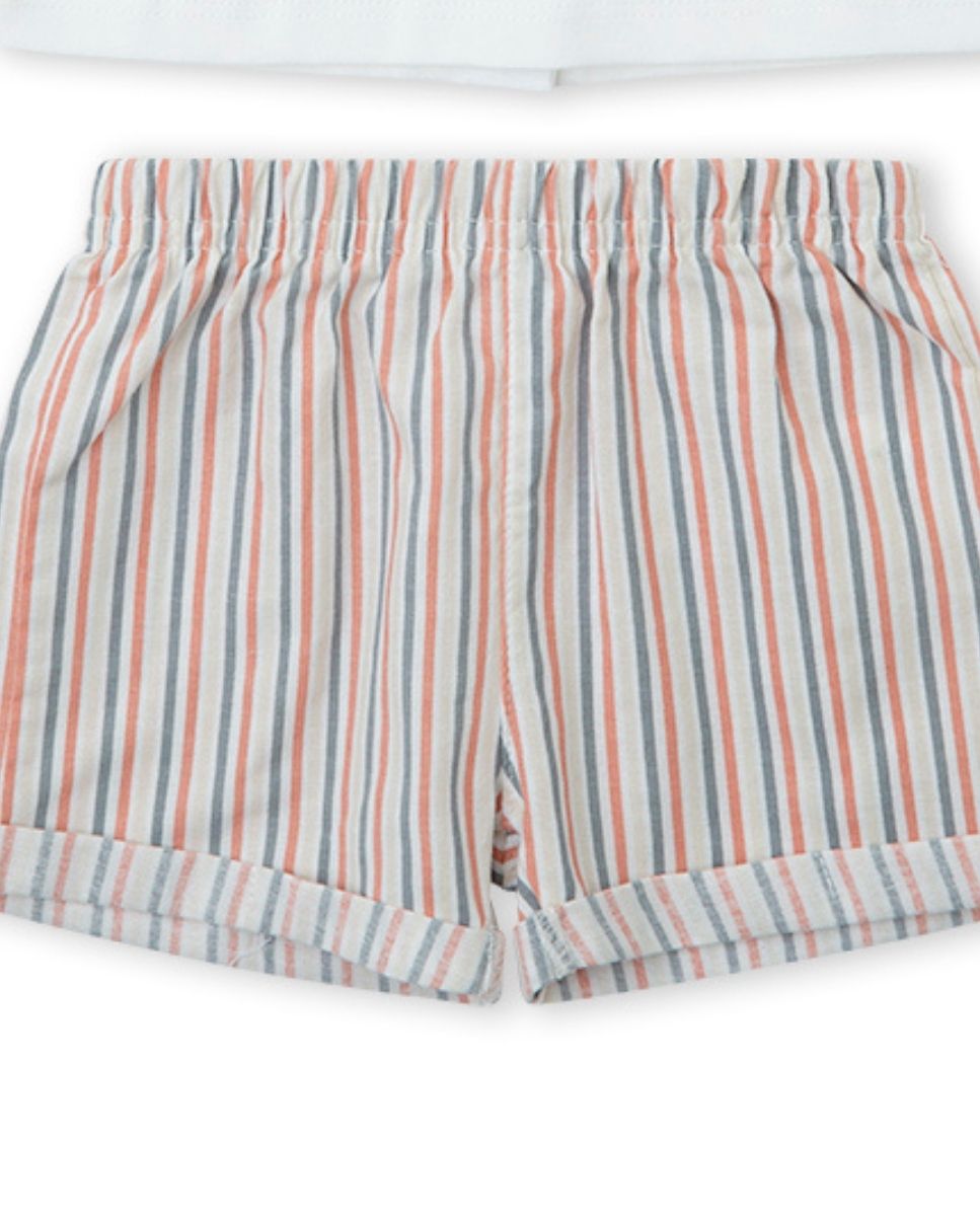 CONJUNTO CRUDO