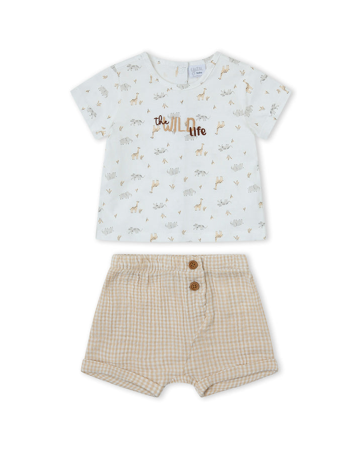 CONJUNTO CRUDO