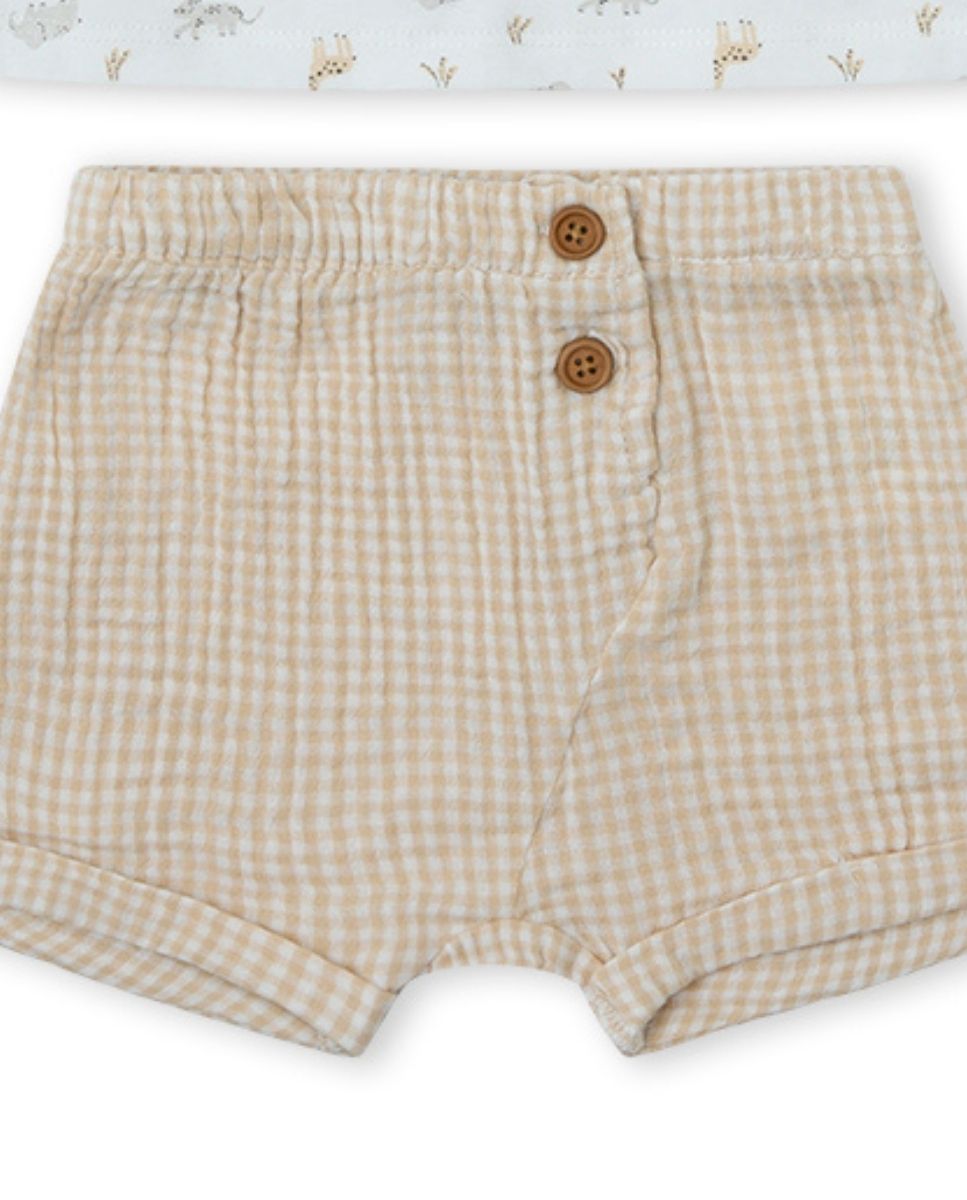 CONJUNTO CRUDO