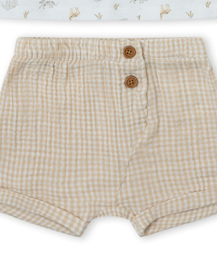 CONJUNTO CRUDO