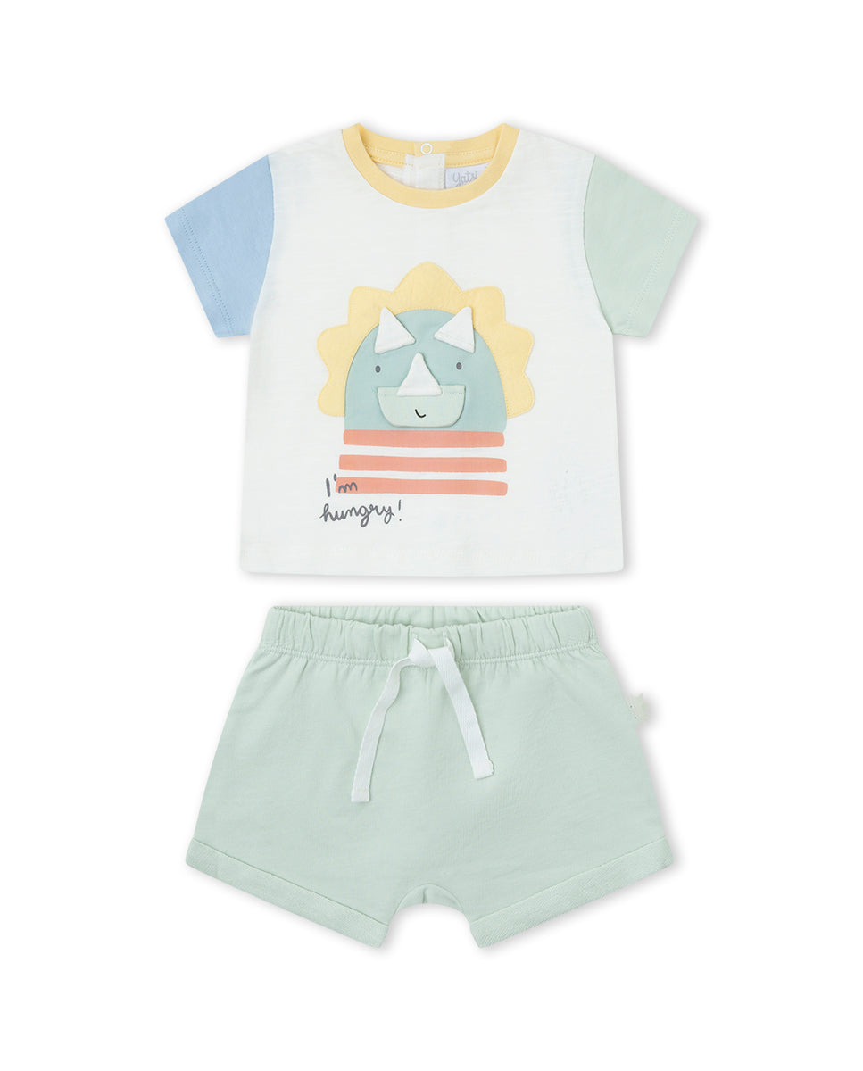 CONJUNTO VERDE