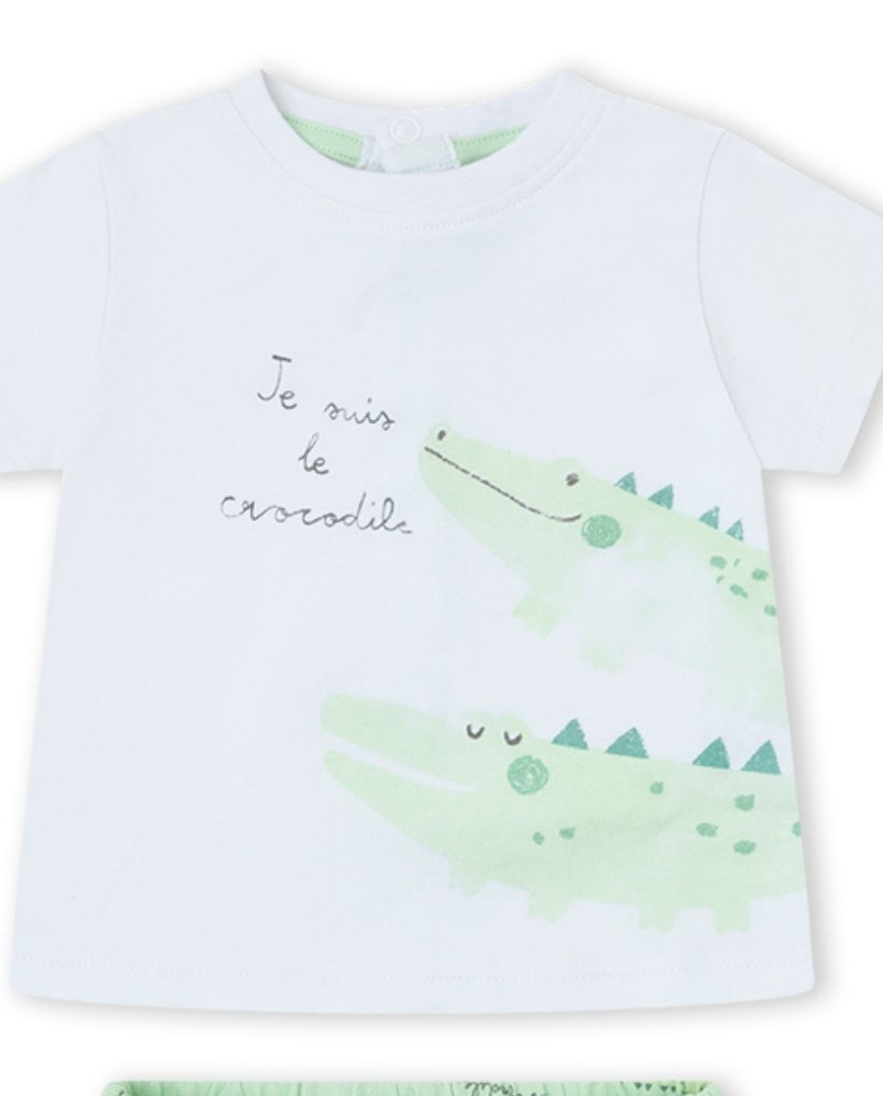 CONJUNTO VERDE