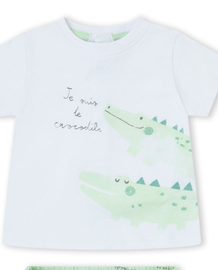 CONJUNTO VERDE