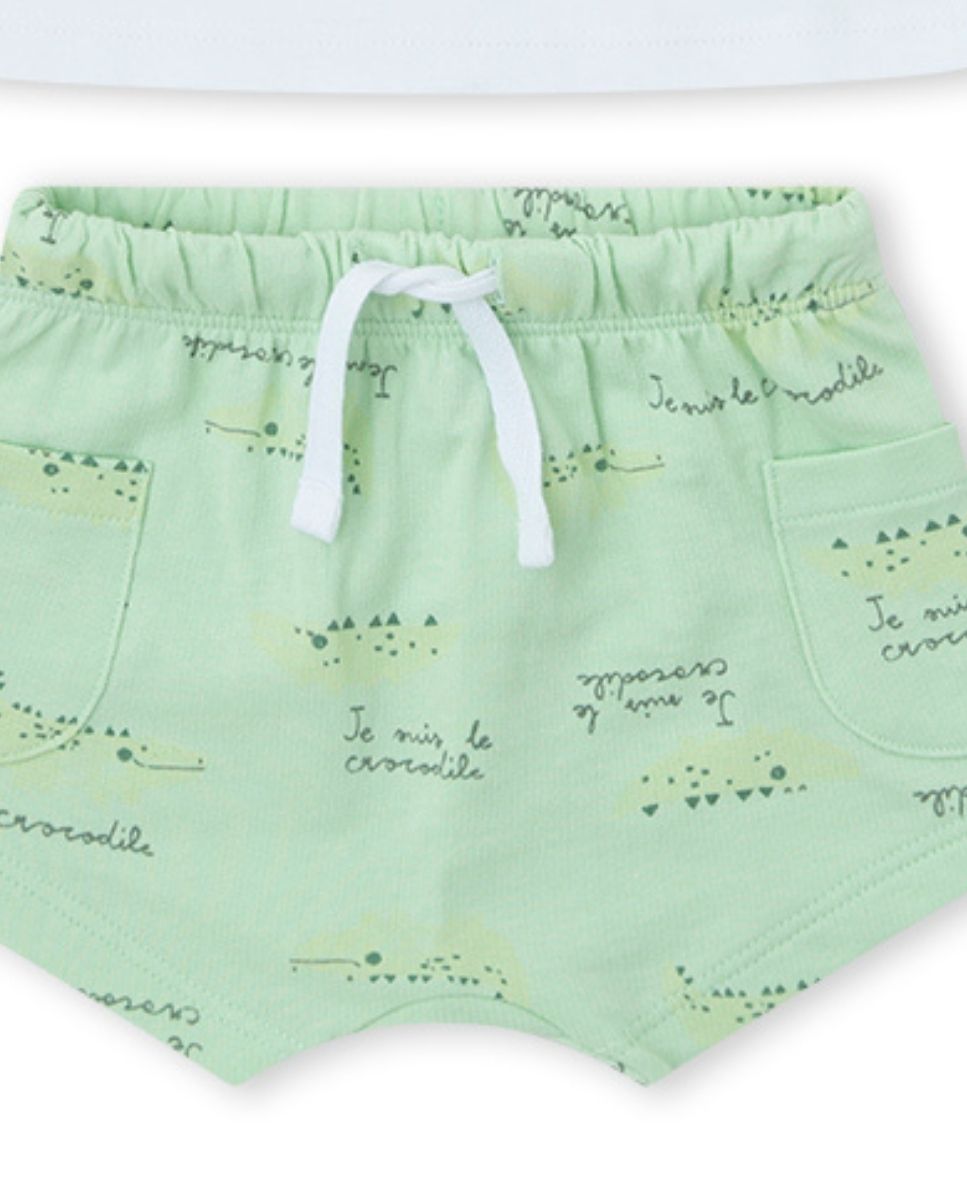CONJUNTO VERDE