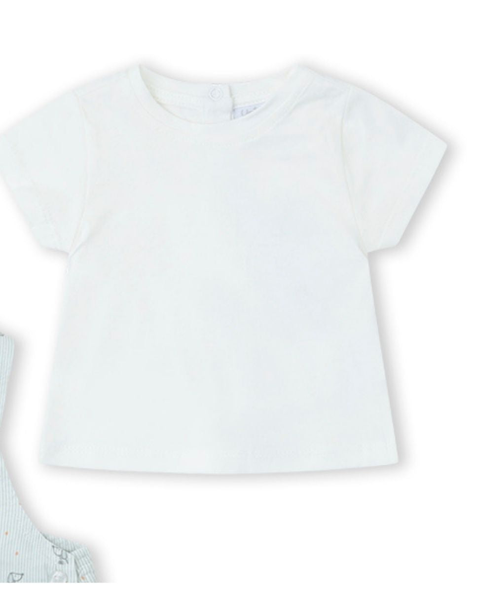 CONJUNTO CRUDO