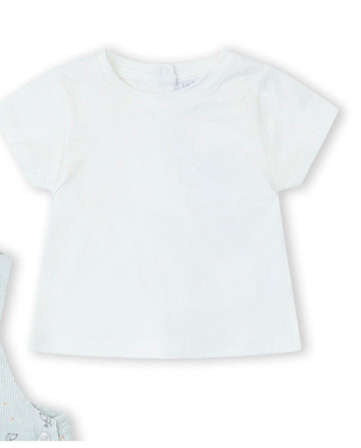 CONJUNTO CRUDO