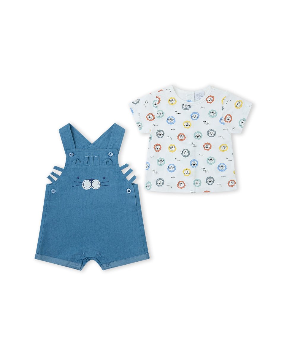 CONJUNTO AZUL