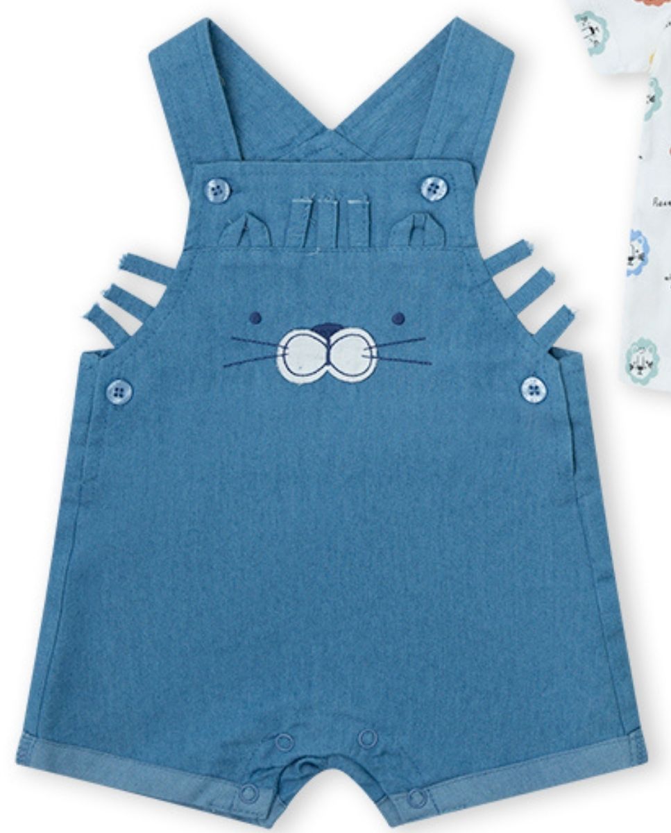 CONJUNTO AZUL