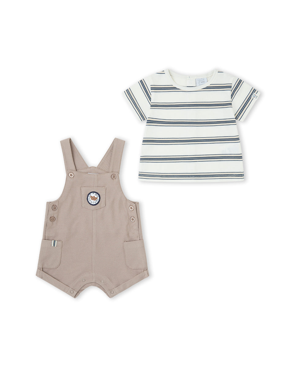 CONJUNTO CAMEL