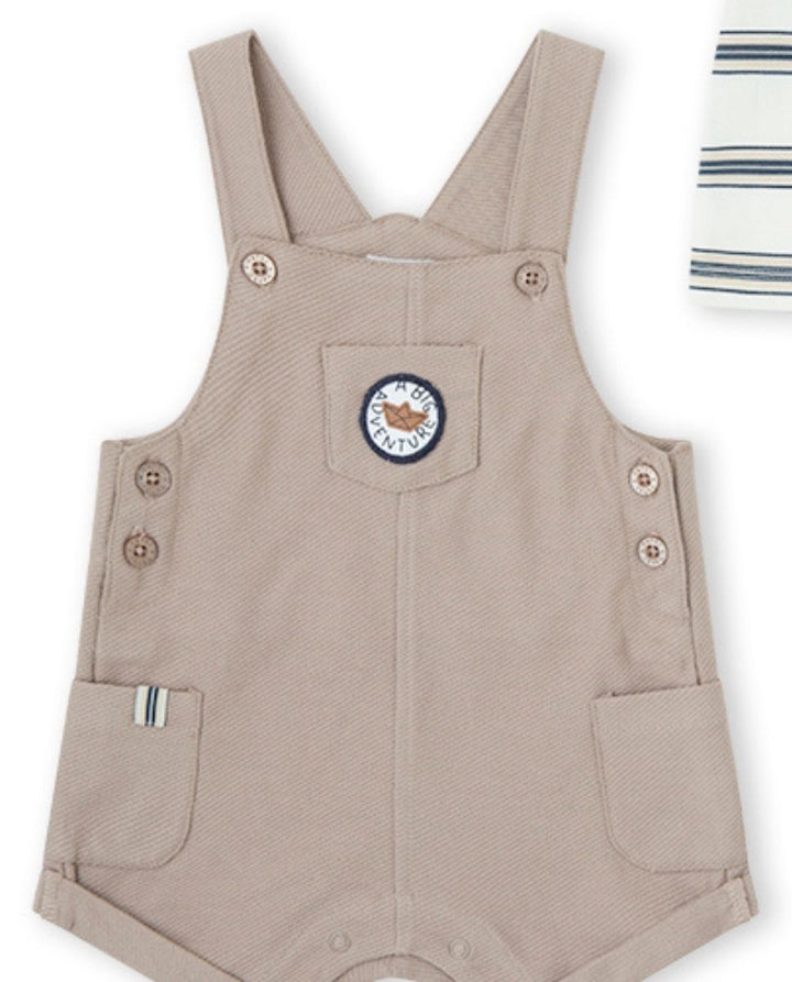 CONJUNTO CAMEL