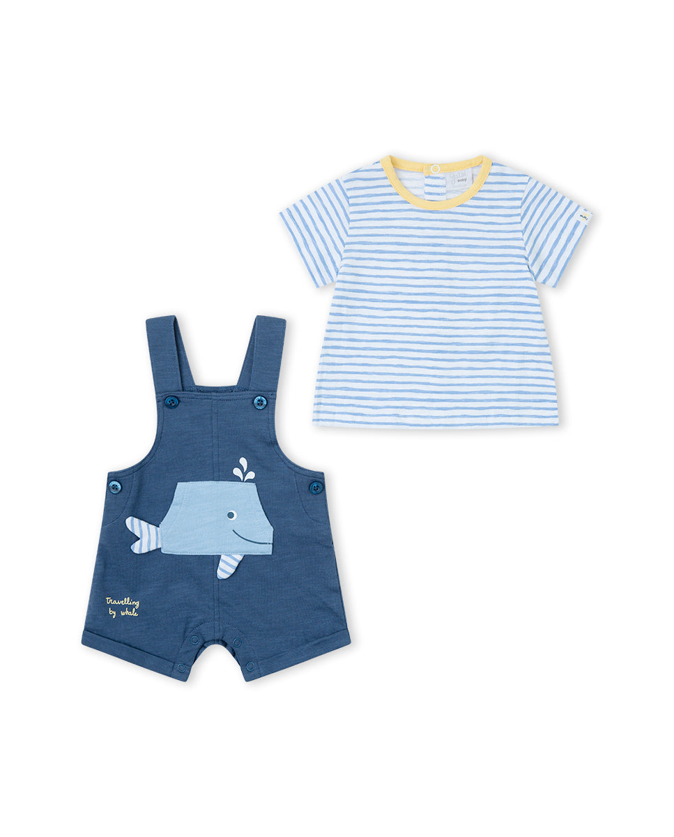 CONJUNTO MARINO