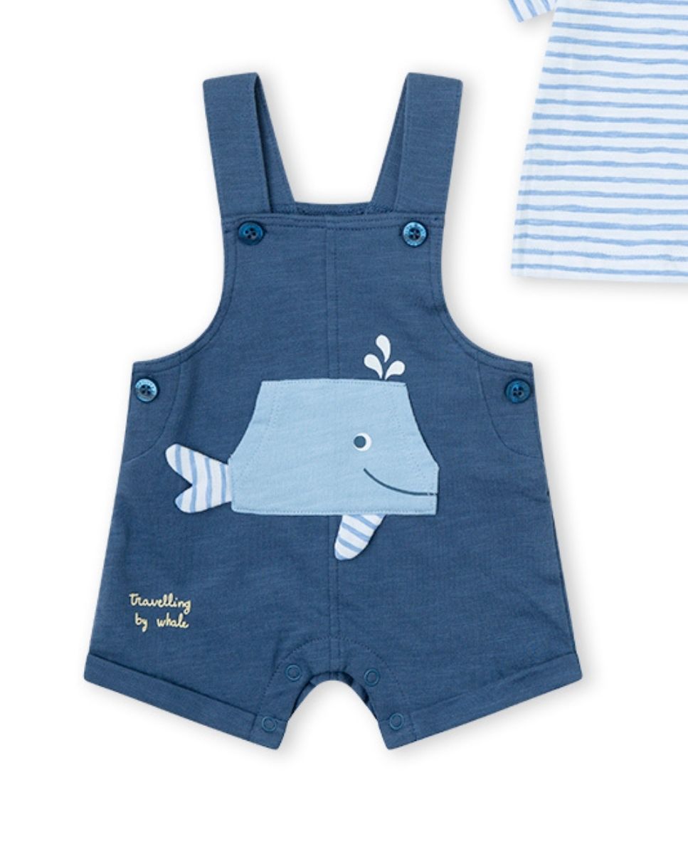 CONJUNTO MARINO
