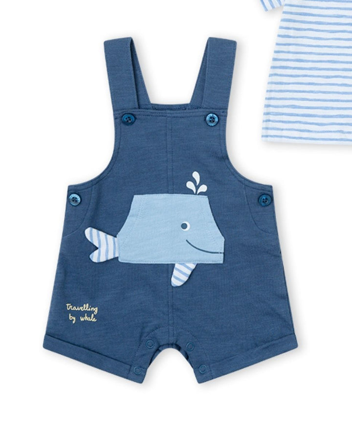 CONJUNTO MARINO