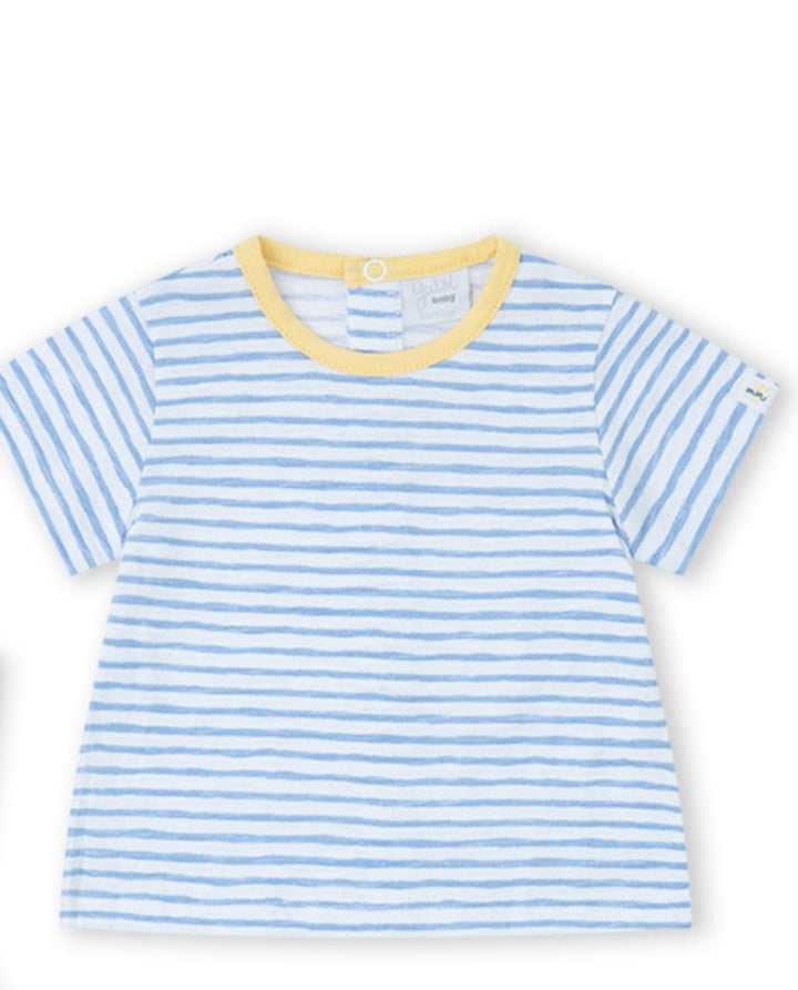 CONJUNTO MARINO