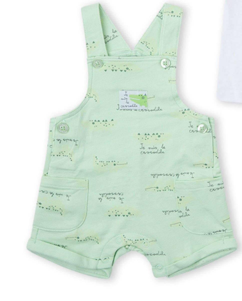 CONJUNTO VERDE