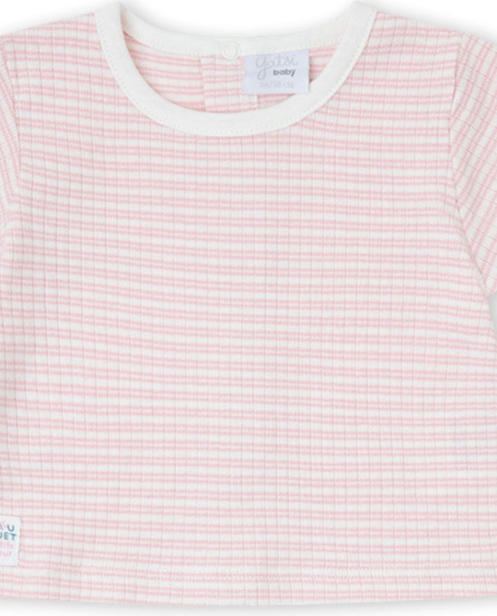 CONJUNTO ROSA