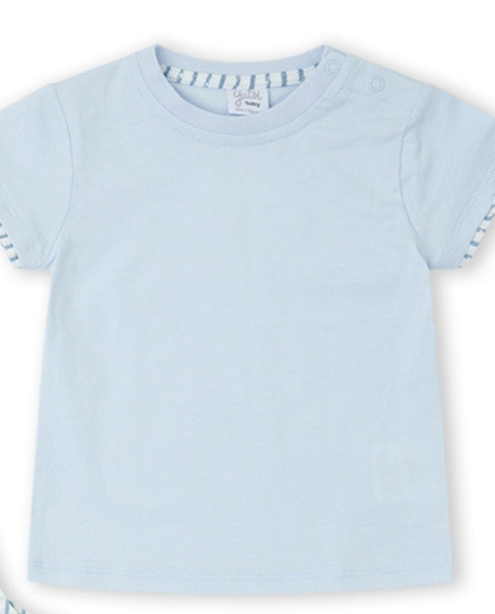 CONJUNTO AZUL