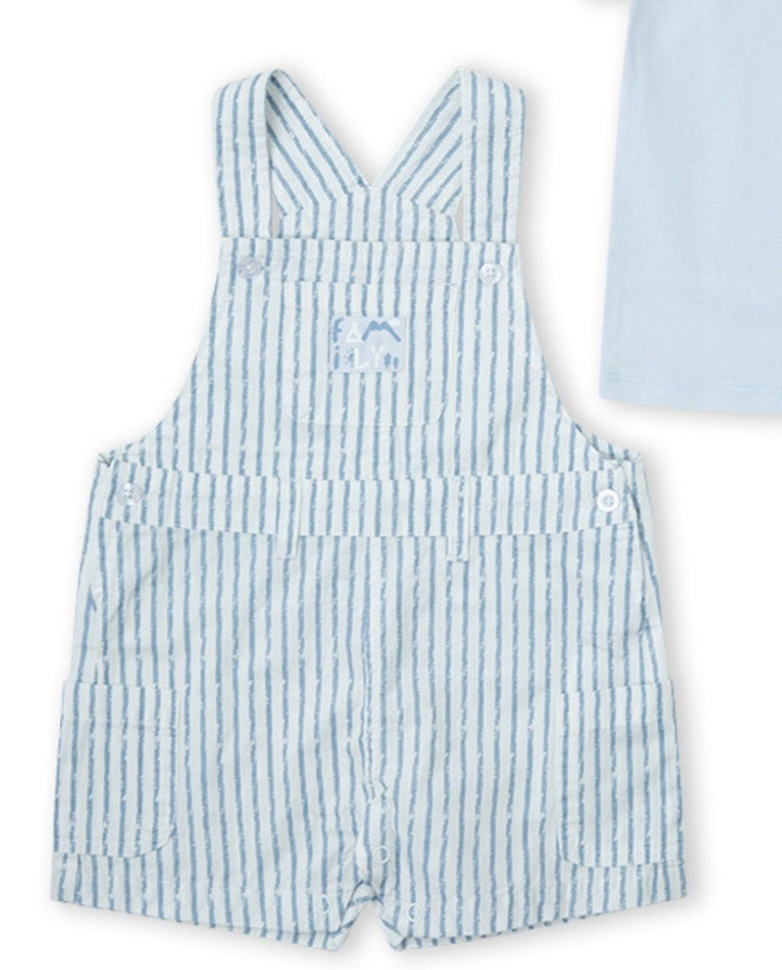 CONJUNTO AZUL