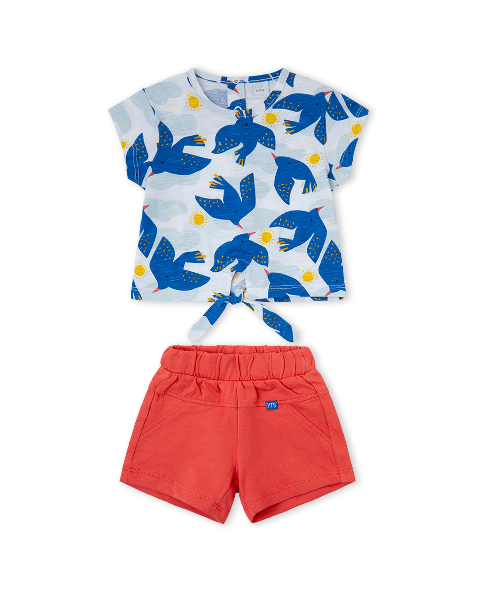 CONJUNTO AZUL