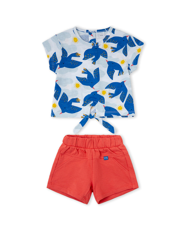 CONJUNTO AZUL