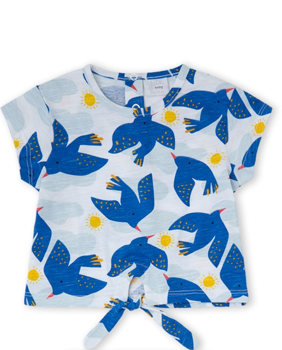 CONJUNTO AZUL
