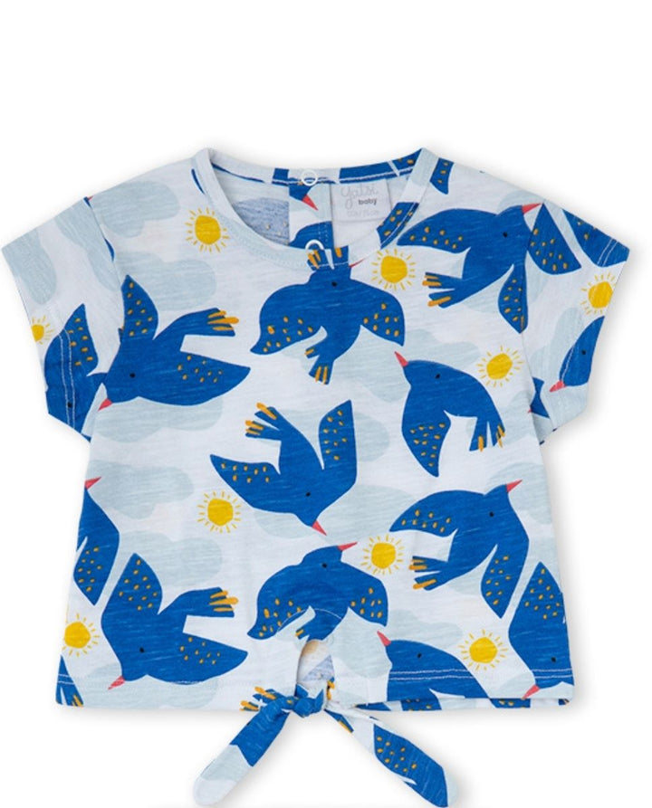 CONJUNTO AZUL