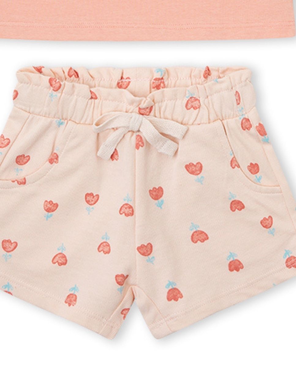 CONJUNTO NARANJA