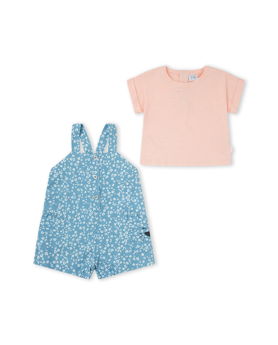 CONJUNTO AZUL