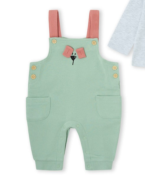 CONJUNTO PETO NIÑO VERDE