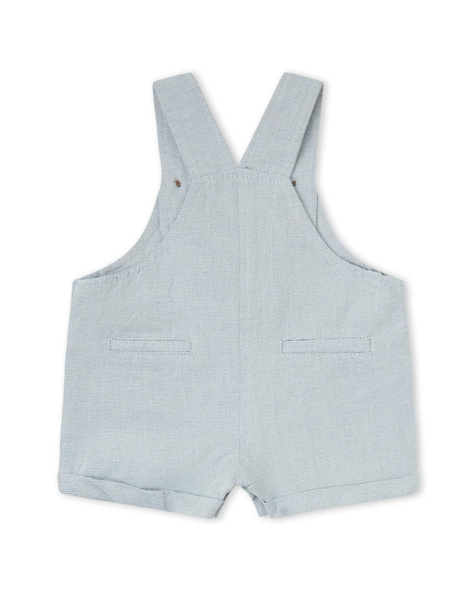 PETO GRIS