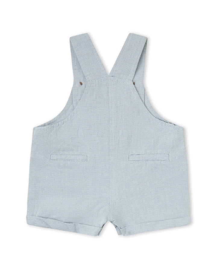 PETO GRIS