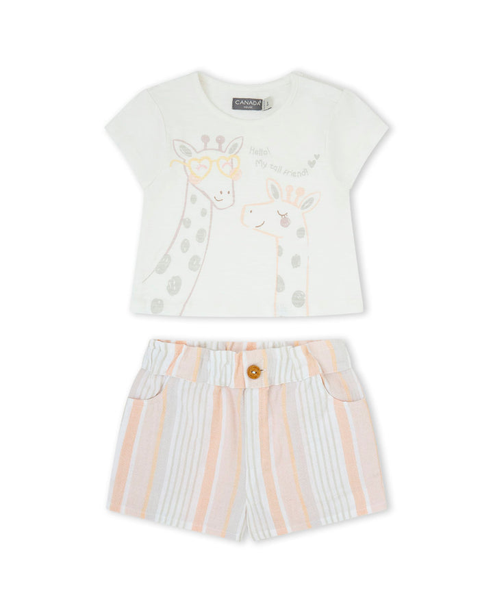 CONJUNTO CRUDO